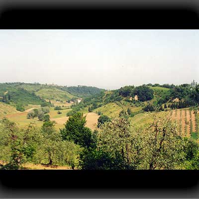 Typisch: Hügel, Wald, Oliven und Wein