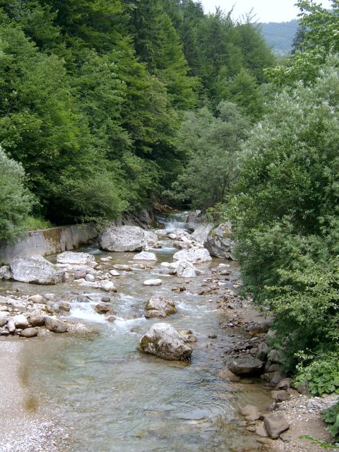 Fluß bei Trzic